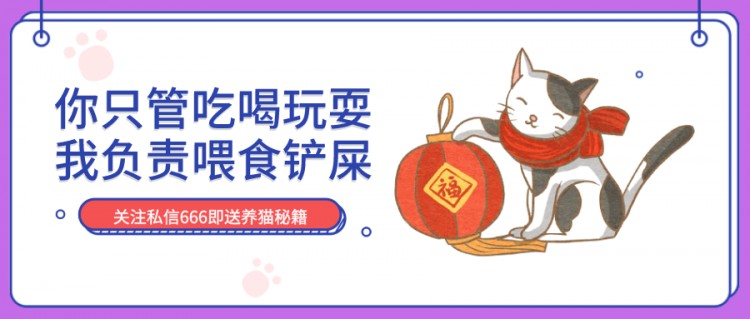 年假将至，我的猫带不走怎么办？做好这5点就够了